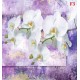 Wall mural white orchids on wall art in purple Wall mural white orchids on wall art in purple