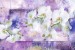 Wall mural white orchids on wall art in purple