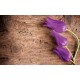 Photo mural purple tulips on a wooden based Photo mural purple tulips on a wooden based