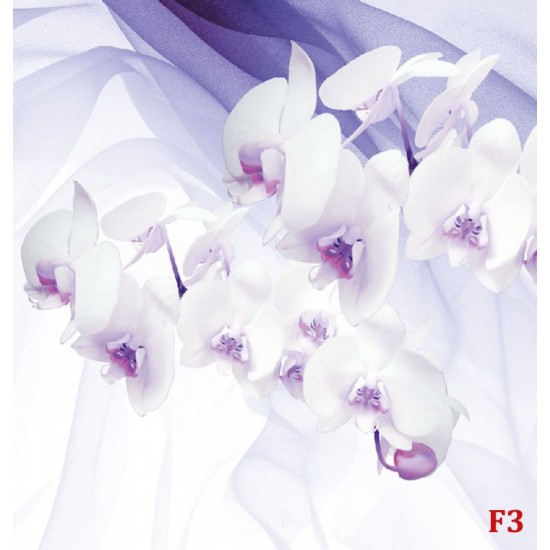Photo mural orchids on a background of purple silk shade