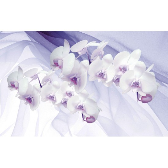 Photo mural orchids on a background of purple silk shade