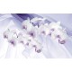 Photo mural orchids on a background of purple silk shade