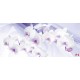 Photo mural orchids on a background of purple silk shade