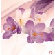 Photo mural light flowers on a background of purple silk shade
