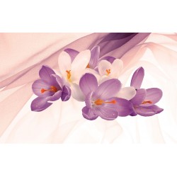 Photo mural light flowers on a background of purple silk shade