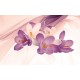 Photo mural light flowers on a background of purple silk shade