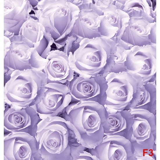 Photo murals a wall of purple roses