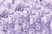 Photo murals a wall of purple roses