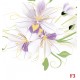 Wallpapers beautiful purple flowers in white backgroung 