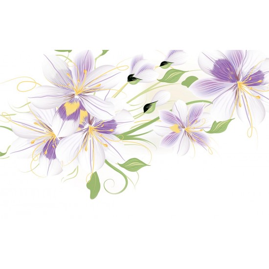 Wallpapers beautiful purple flowers in white backgroung 