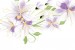 Wallpapers beautiful purple flowers in white backgroung 