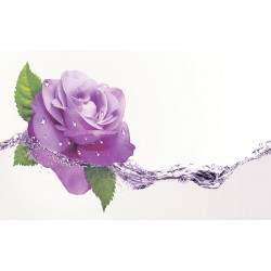 Wallpapers purple rose with water elements