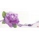 Wallpapers purple rose with water elements Wallpapers purple rose with water elements