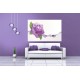 Wallpapers purple rose with water elements Wallpapers purple rose with water elements