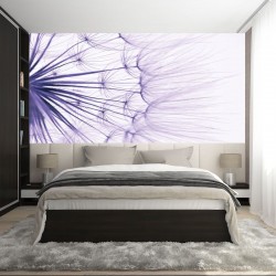 Wallpapers big dandelion  in purple