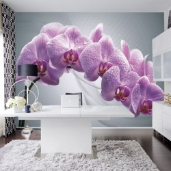 Wallpapers mural purple orchid branch on a gray background 2