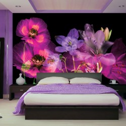 Wall murals ethereal composition of flowers on a black background Wall murals ethereal composition of flowers on a black background