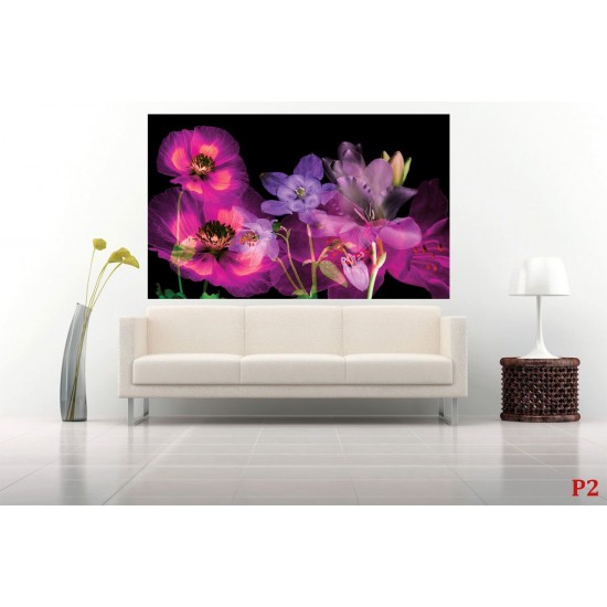 Wall murals ethereal composition of flowers on a black background