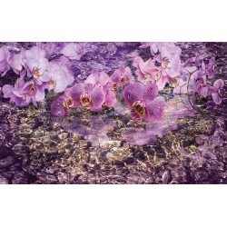 Photo murals purple orchids and submerged rocks