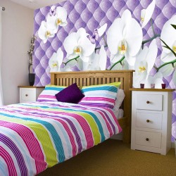 Wall mural Twig white orchid on upholstery effect with crowns