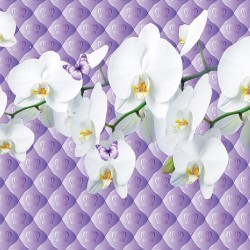 Wall mural Twig white orchid on upholstery effect with crowns