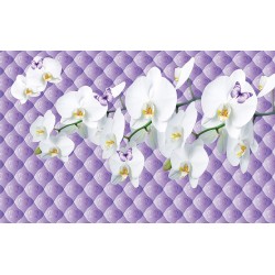Wall mural Twig white orchid on upholstery effect with crowns
