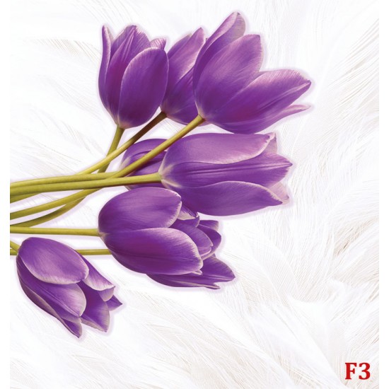 Photo mural purple tulips on a soft background with feathers Photo mural purple tulips on a soft background with feathers