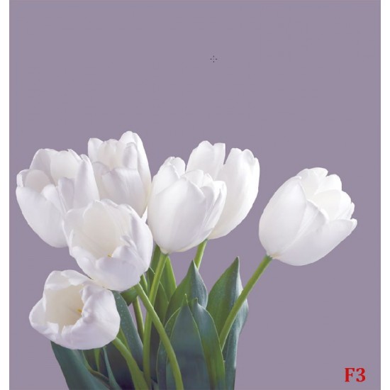 Photo mural bouquet from white tulips on purple background Photo mural bouquet from white tulips on purple background