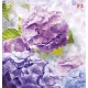 Photo mural delicate hydrangeas in purple range Photo mural delicate hydrangeas in purple range