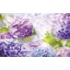 Photo mural delicate hydrangeas in purple range Photo mural delicate hydrangeas in purple range