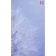 Wall mural wonderfully spread dandelion on a purple background Wall mural wonderfully spread dandelion on a purple background