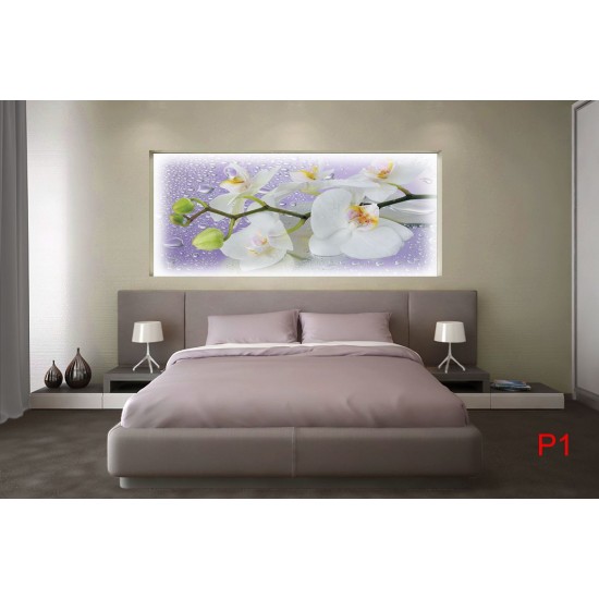 Photo mural orchid branch in purple background with water drops Photo mural orchid branch in purple background with water drops