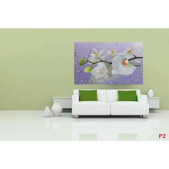 Photo mural orchid branch in purple background with water drops Photo mural orchid branch in purple background with water drops