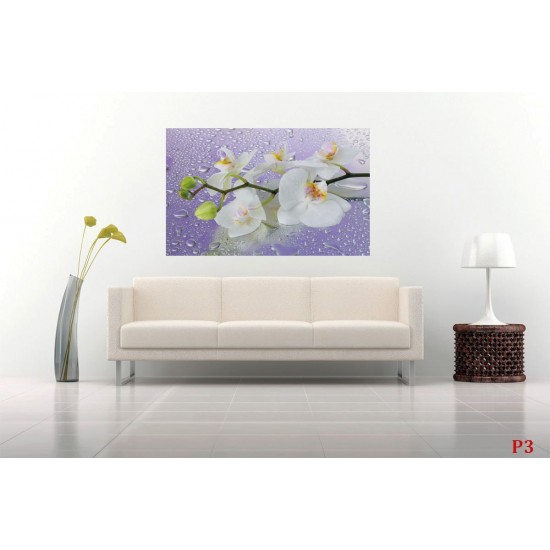 Photo mural orchid branch in purple background with water drops Photo mural orchid branch in purple background with water drops