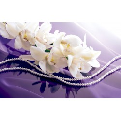 Photo mural twig orchid flower cream on an impressive purple basis