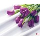 Photo mural purple tulips bunch of satin based Photo mural purple tulips bunch of satin based