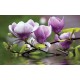 Wallpapers mural purple magnolia