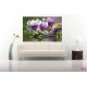 Wallpapers mural purple magnolia