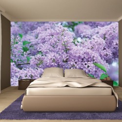 Wallpapers mural purple lilac twig