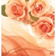 Wallpapers mural orange roses on silk Wallpapers mural orange roses on silk