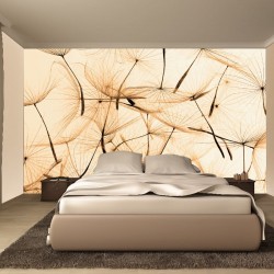 Wall murals orange dandelion scattered Wall murals orange dandelion scattered