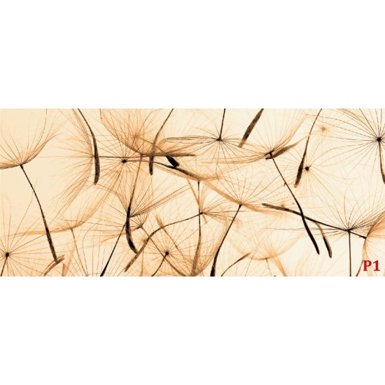Wall murals orange dandelion scattered Wall murals orange dandelion scattered