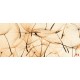Wall murals orange dandelion scattered Wall murals orange dandelion scattered