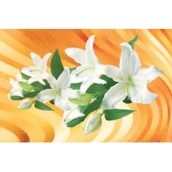 Wall murals white lilies on abstract background