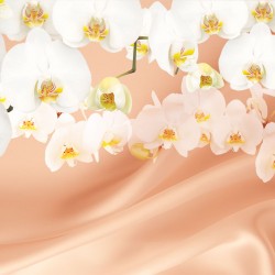 Wallpapers mural white orchids on silk background with and without butterflies