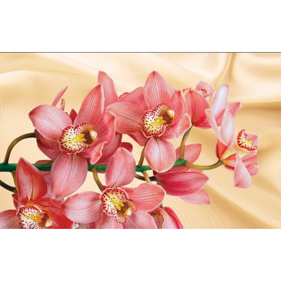 Photo mural coral orchid background silk in 2 colors