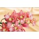Photo mural coral orchid background silk in 2 colors