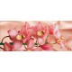 Photo mural coral orchid background silk in 2 colors