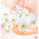 Wall murals white orchids orange on orange abstract background Wall murals white orchids orange on orange abstract background