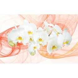Wall murals white orchids orange on orange abstract background